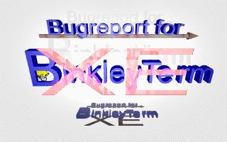 Bug report for BinkleyTerm XE