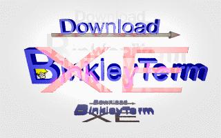 Download BinkleyTerm XE