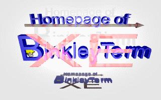 The BinkleyTerm XE Homepage